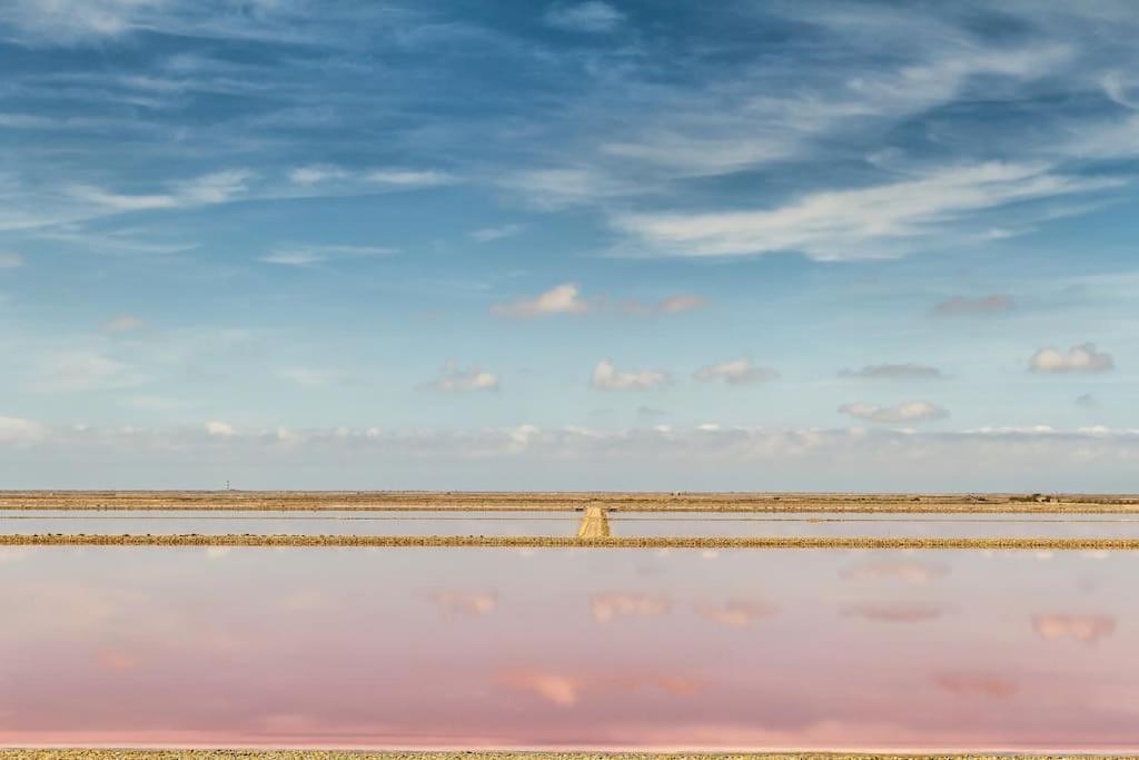 Charmant Studio Au Coeur Des Marais Salants Arles Eksteriør bilde